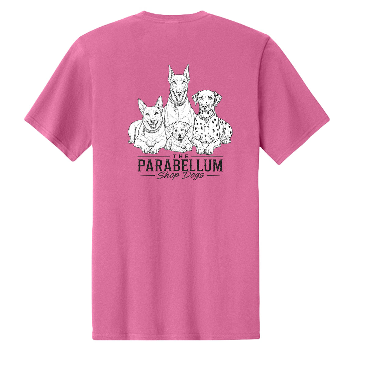 Awareness Pink - PC43 - BACK